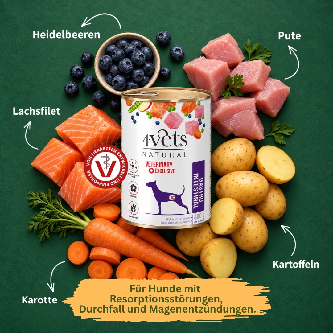 4Vets Gastro Intestinal 400g