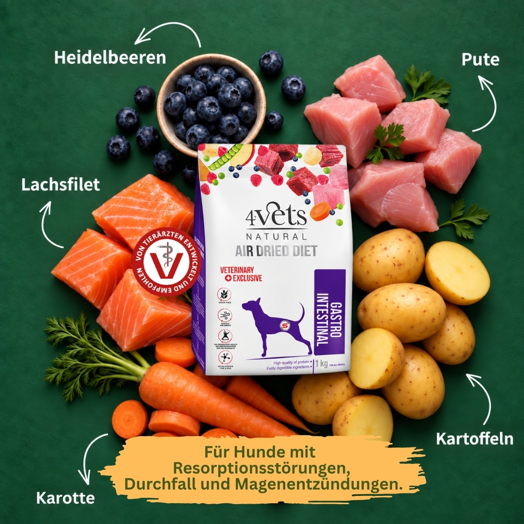 4Vets Gastro Intestinal 1 kg
